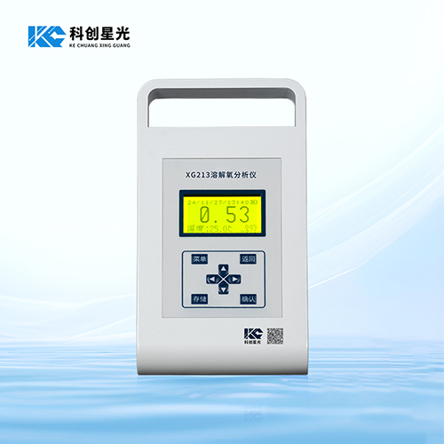 XG213 溶解氧分析仪