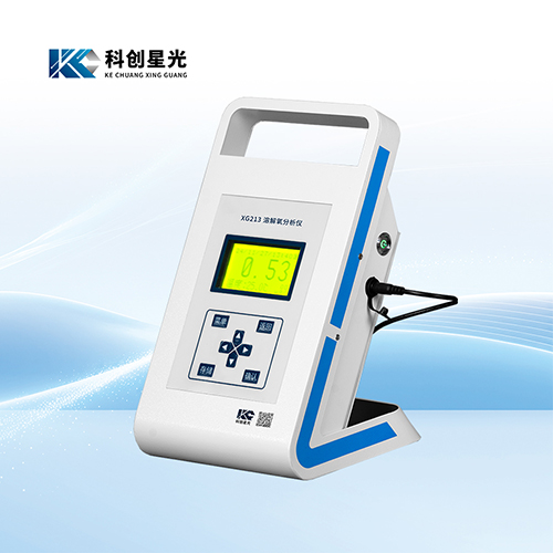 XG213便携式溶解氧分析仪(微克级)