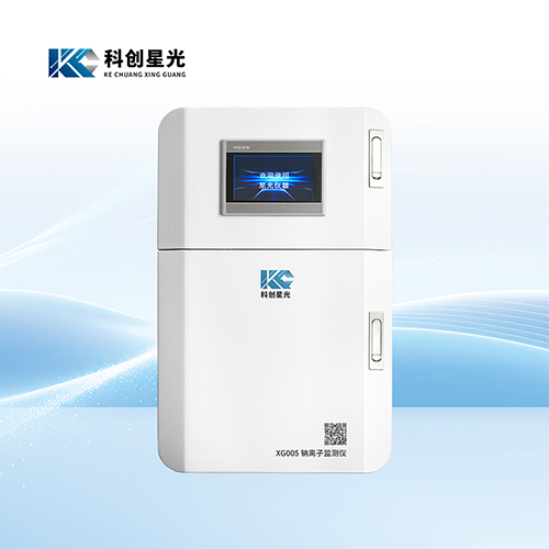 XG005钠离子监测仪